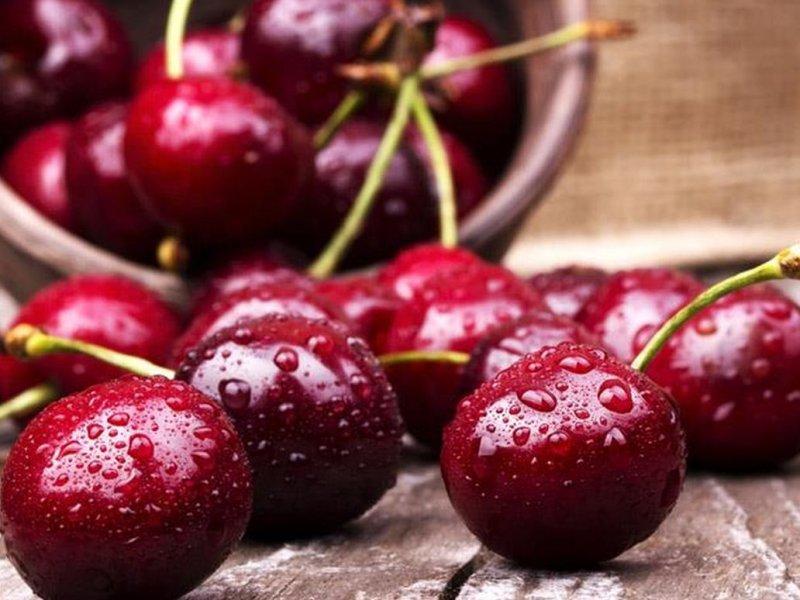 Вишня купить саженцы из питомника в Верхней-Салде
